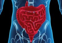 New cytokine network can repair tissue damage in the intestine, study finds
