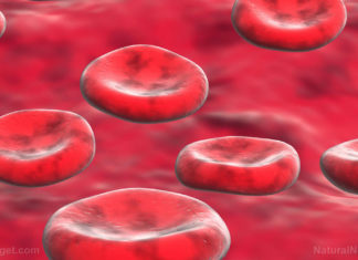 New era for blood transfusions through genome sequencing