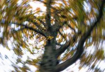 New type of vertigo identified