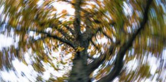 New type of vertigo identified