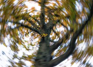 New type of vertigo identified