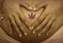 Prenatal Marijuana Use Can Affect Infant Behavior and Size