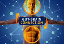 Researchers are identifying the key players involved in the gut-brain connection and their role in disease progression