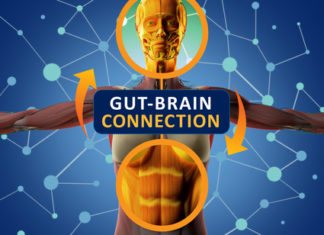 Researchers are identifying the key players involved in the gut-brain connection and their role in disease progression
