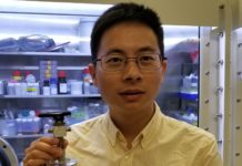 Researchers develop water-based battery to store solar and wind energy