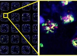 Robotic approach could accelerate regenerative medicine research and drug discovery
