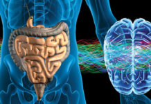 Second Brain Neurons Keep Colon Moving