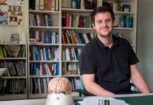 Smarter brains run on sparsely connected neurons