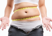Study identifies processes in the gut that drive fat build-up around the waist