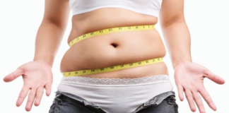Study identifies processes in the gut that drive fat build-up around the waist