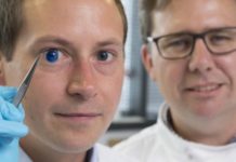 The first human corneas have been 3D printed by scientists