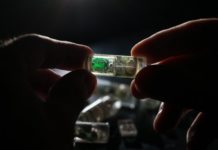 Ultra-low-power sensors carrying genetically engineered bacteria can detect gastric bleeding