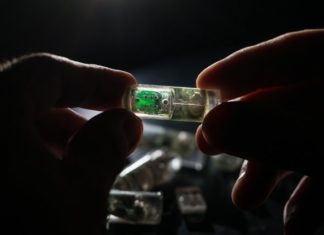 Ultra-low-power sensors carrying genetically engineered bacteria can detect gastric bleeding