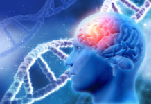 Researchers shed light on how sleep spindles help secure memory storage and reactivation