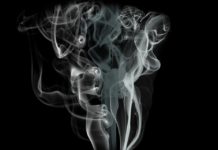 New insights into nicotine’s effect on reward pathways