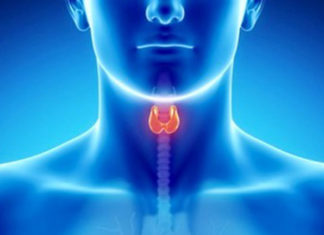 Growth hormone may provide new hope for stroke survivors