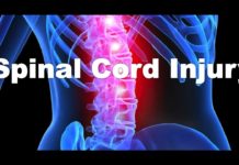 Real Time Coverage of Inside the Brain Made Possible