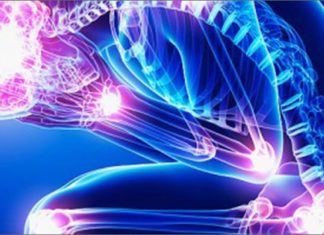 A new study could help advance research into pain and hypersensitivity to cold stimuli