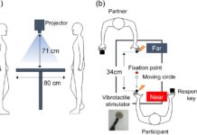 A new study reveals people respond to stimuli in another person’s peripersonal space as they could their own
