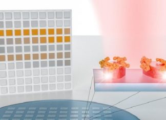 A new system developed at EPFL can detect and analyze molecules with very high precision and without needing bulky equipment