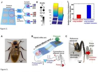 An artificial nerve system gives prosthetic devices and robots a sense of touch
