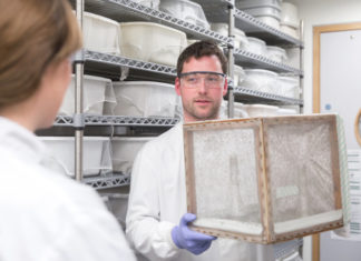 Combining different malaria vaccines could reduce cases by 91 percent
