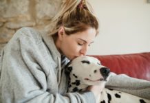 Dogs can be a potential risk for future influenza pandemic