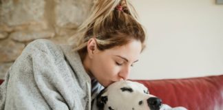 Dogs can be a potential risk for future influenza pandemic