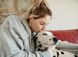Dogs can be a potential risk for future influenza pandemic