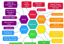 Eight weeks of specialized tutoring helps strengthen white matter connections in those with dyslexia, helping to improve reading performance