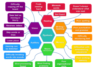 Eight weeks of specialized tutoring helps strengthen white matter connections in those with dyslexia, helping to improve reading performance