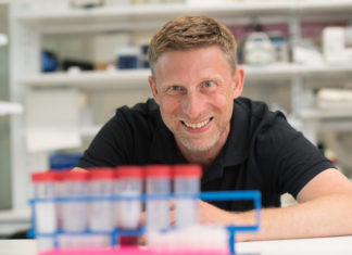 Genome-editing tool could increase cancer risk
