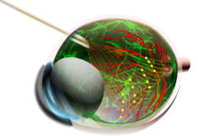 Injectable electronics offer powerful new tool in understanding how retinal cells work