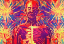 Ketamine and Psychedelic Drugs Change Structure of Neurons