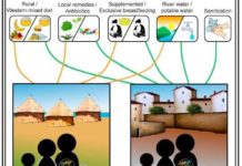 Microbiome differences between urban and rural populations start soon after birth