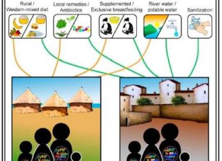Microbiome differences between urban and rural populations start soon after birth