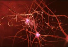 Neuroscientists have located the cells that help reprogram long-lasting memories of traumatic experiences towards safety, a first in neuroscience
