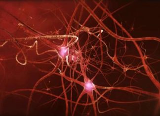 Neuroscientists have located the cells that help reprogram long-lasting memories of traumatic experiences towards safety, a first in neuroscience