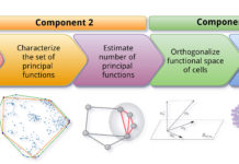 New method for cell identification leads to discovery of melanoma subtypes