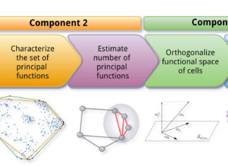 New method for cell identification leads to discovery of melanoma subtypes