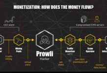 Prowli Malware Targeting Servers, Routers, and IoT Devices