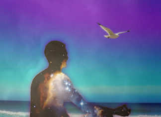 REPORT : Relaxation and Mindfulness Meditation Response Have Different Effects on Brain Function