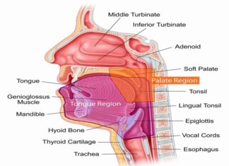 Removing tonsils and adenoids in childhood increases the long-term risk of respiratory, allergic and infectious diseases