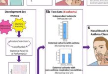 Research team diagnoses asthma with nasal brush test