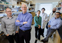 Research team discovers drug compound that stops cancer cells from spreading