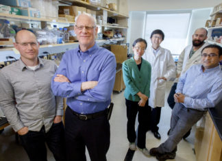 Research team discovers drug compound that stops cancer cells from spreading