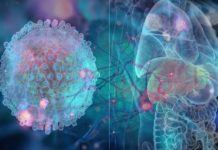 Researchers take a step closer to developing a DNA test for liver cancer
