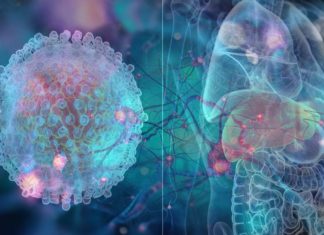 Researchers take a step closer to developing a DNA test for liver cancer
