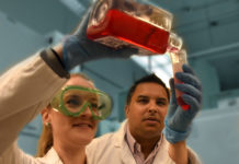 Scientists work to dissolve the NETs that worsen TBI damage