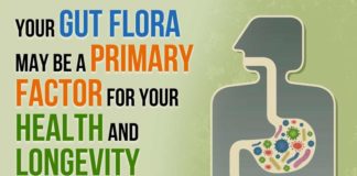 Secret to longevity may lie in the microbiome and the gut